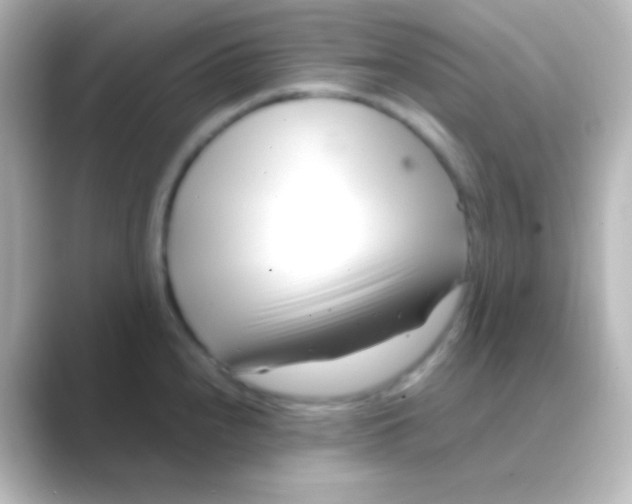 X0000088721240200706212015