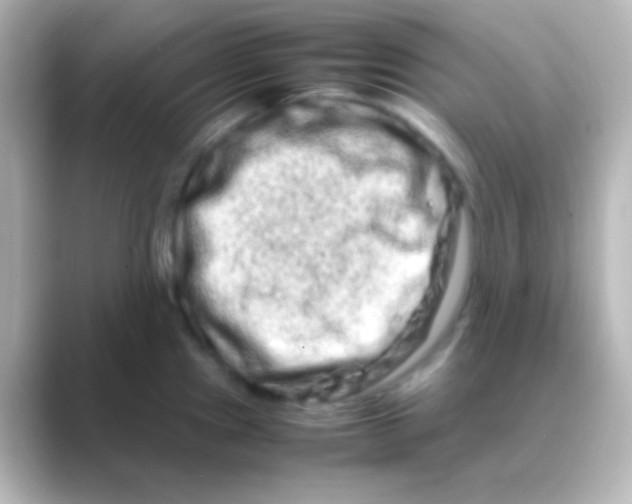 X0000088721241200706212015