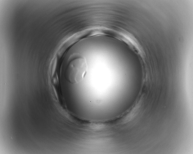 X0000088721242200706212015