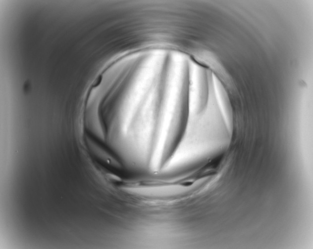 X0000088721244200706212015