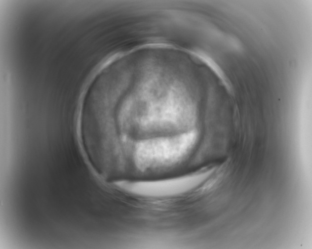 X0000088721245200706212015