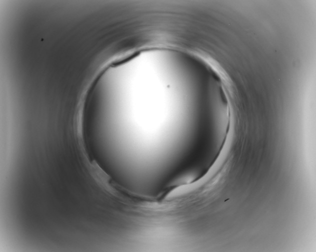 X0000088721246200706212015