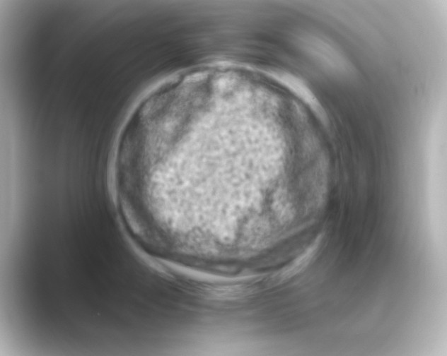 X0000088721247200706212015