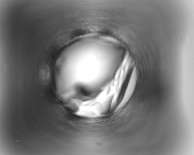 X0000088721251200706212014