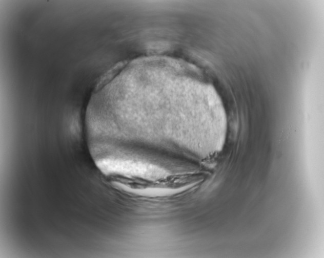 X0000088721252200706212014