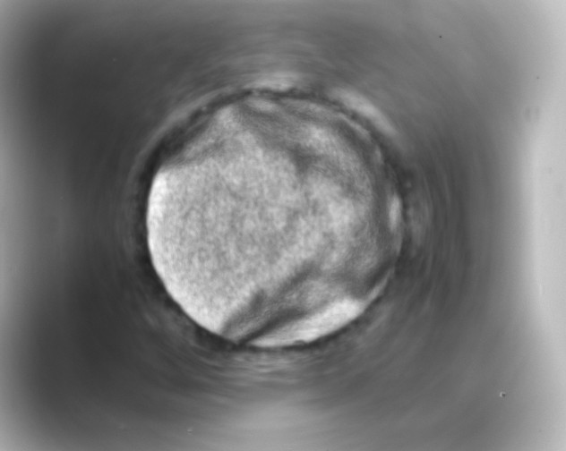 X0000088721256200706212014