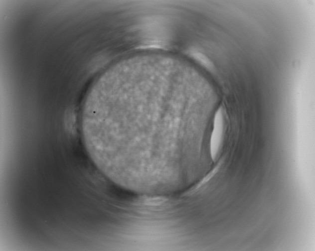 X0000088721258200706212014