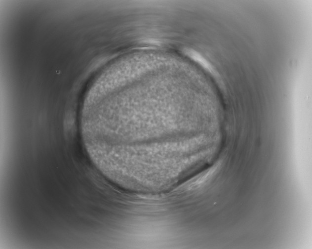 X0000088721259200706212014