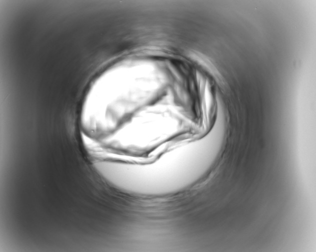 X0000088721260200706212014