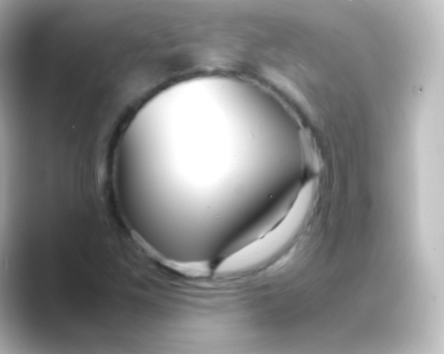 X0000088721261200706212014