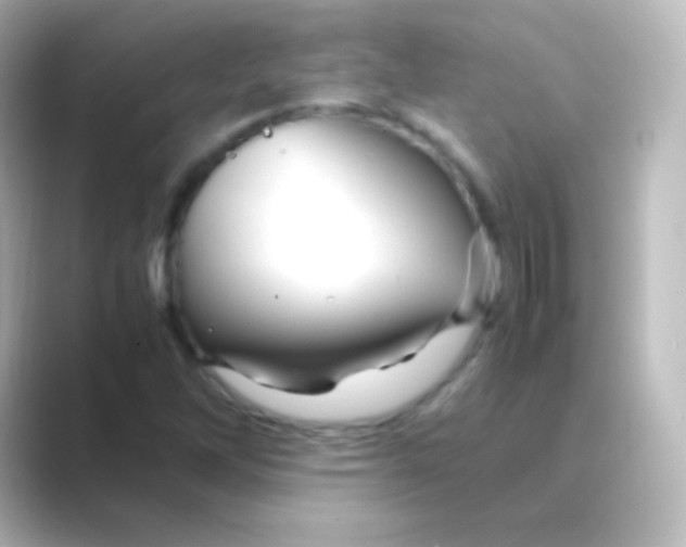 X0000088721262200706212014