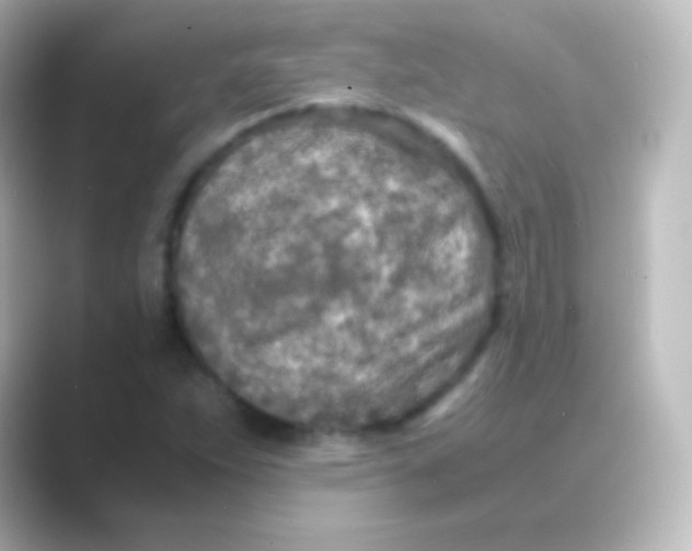 X0000088721263200706212014