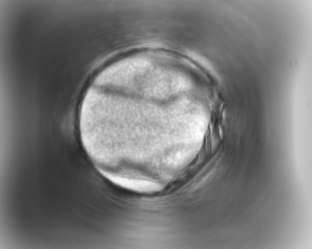 X0000088721264200706212014