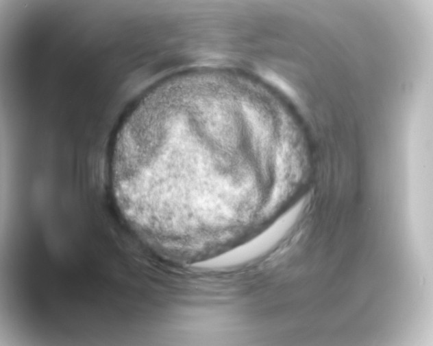 X0000088721267200706212014