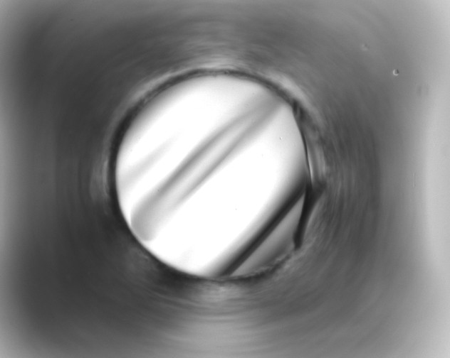 X0000088721270200706212014