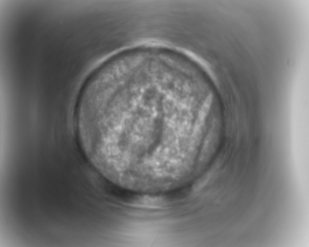 X0000088721271200706212014