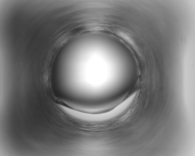 X0000088721273200706212014