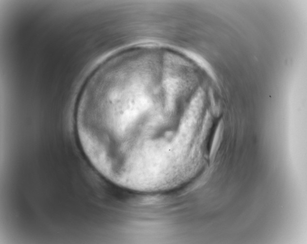 X0000088721279200706212014