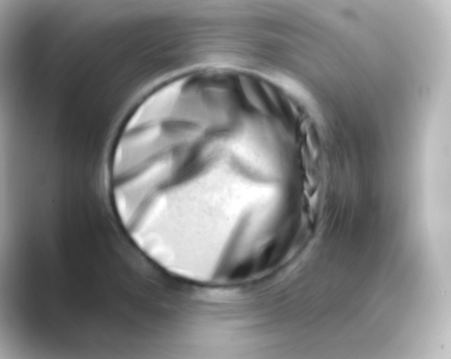 X0000088721280200706212014