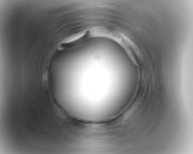 X0000088721281200706212014