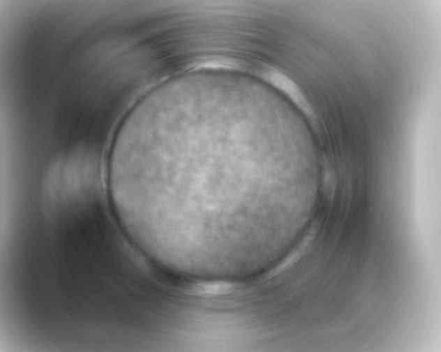 X0000088721282200706212014