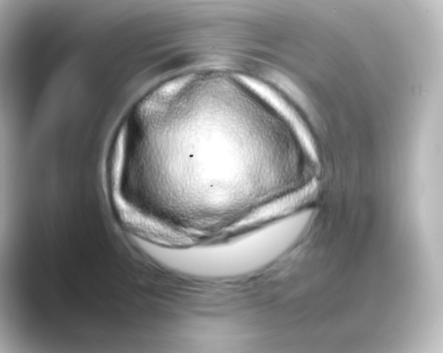 X0000088721283200706212014