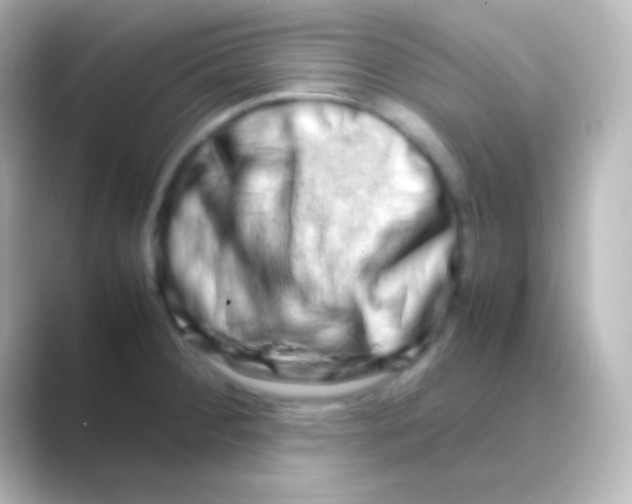 X0000088721284200706212014