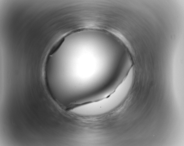 X0000088721285200706212014