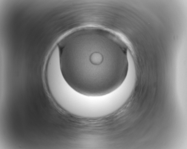 X0000088721287200706212014