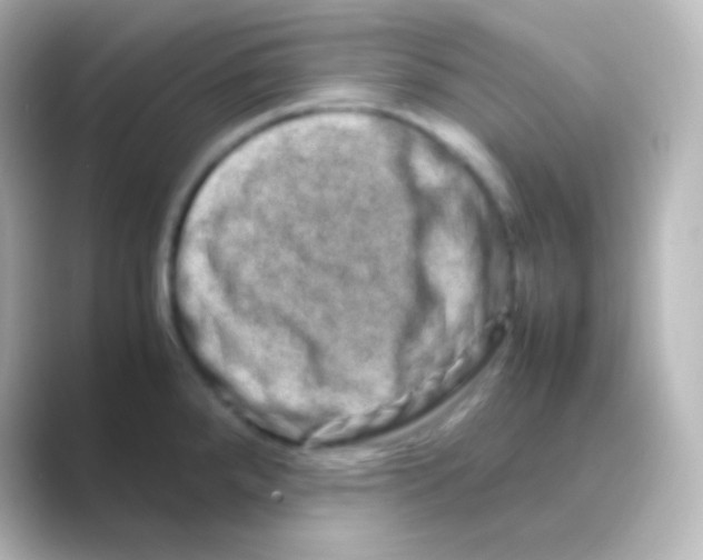 X0000088721288200706212014