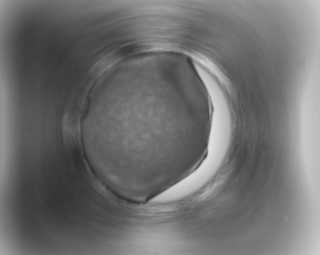 X0000088721289200706212014