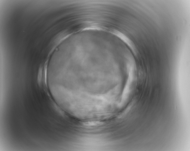 X0000088721290200706212014