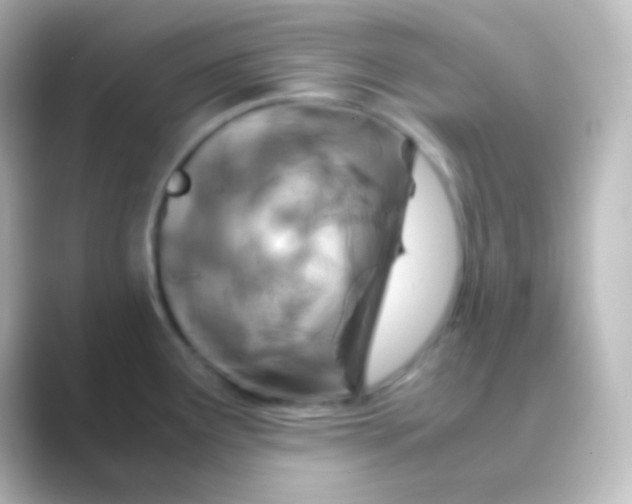 X0000088721291200706212014