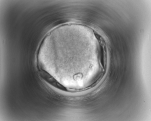 X0000088721292200706212014