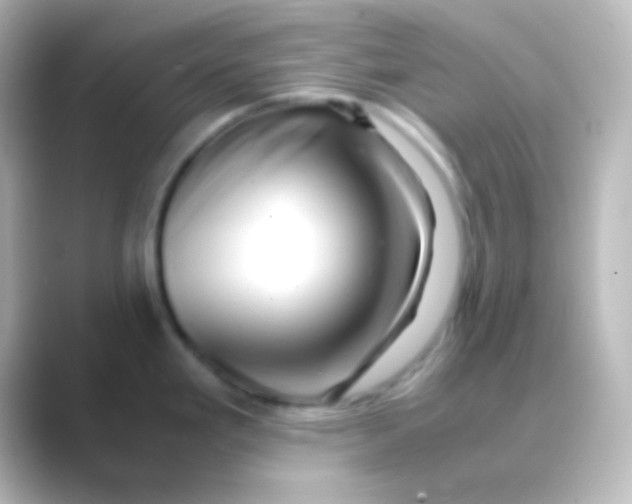 X0000088721293200706212014