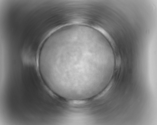 X0000088721294200706212014