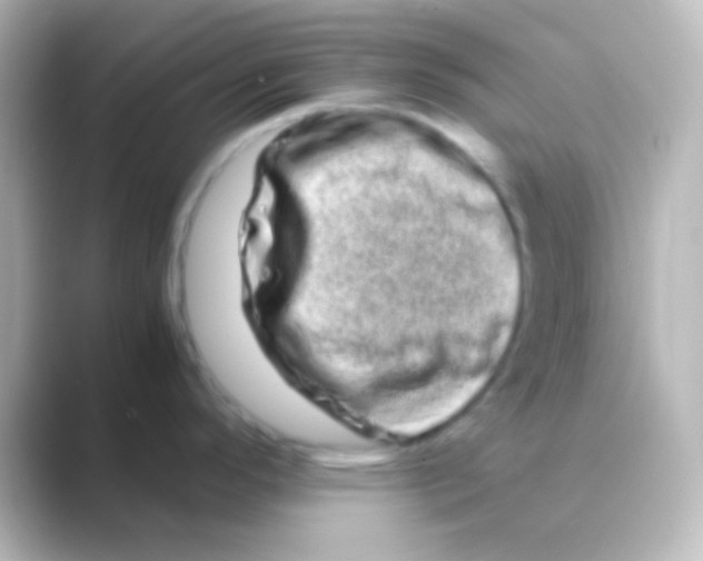 X0000088721296200706212014