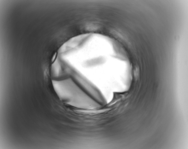 X0000088721299200706212013