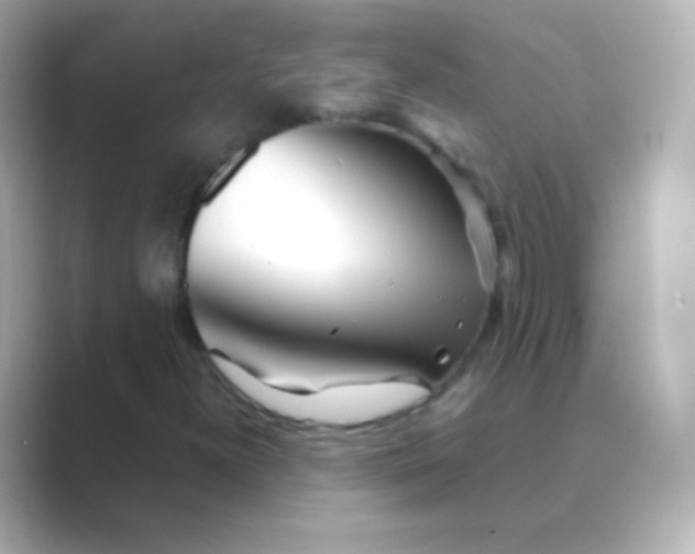 X0000088721300200706212013