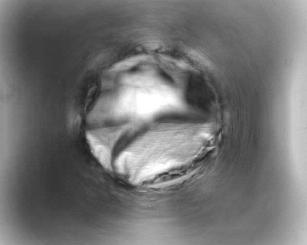 X0000088721302200706212013