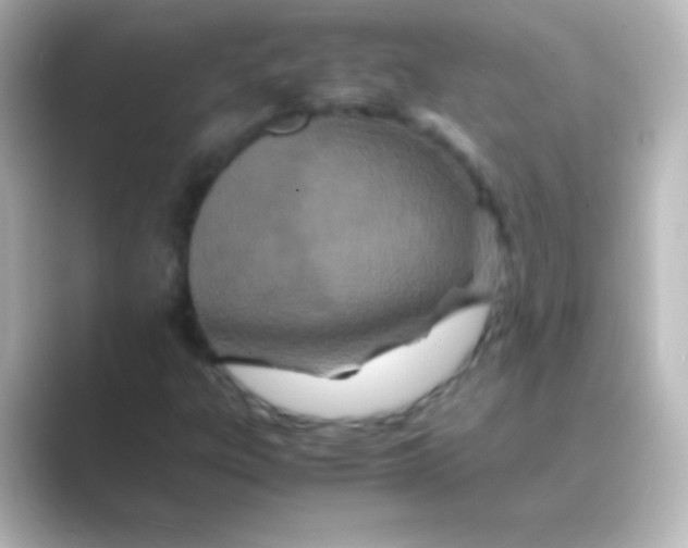 X0000088721303200706212013