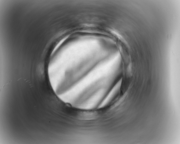 X0000088721307200706212013