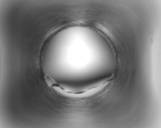 X0000088721308200706212013