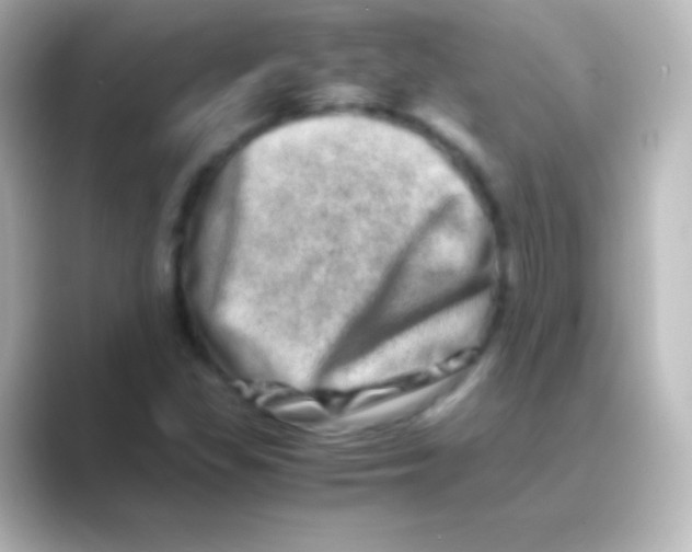 X0000088721309200706212013