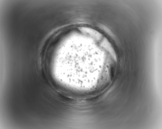 X0000088721310200706212013