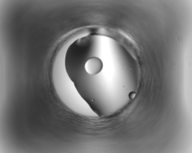 X0000088721311200706212013