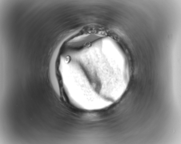 X0000088721313200706212013