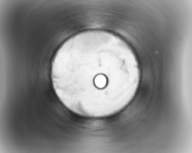 X0000088721314200706212013