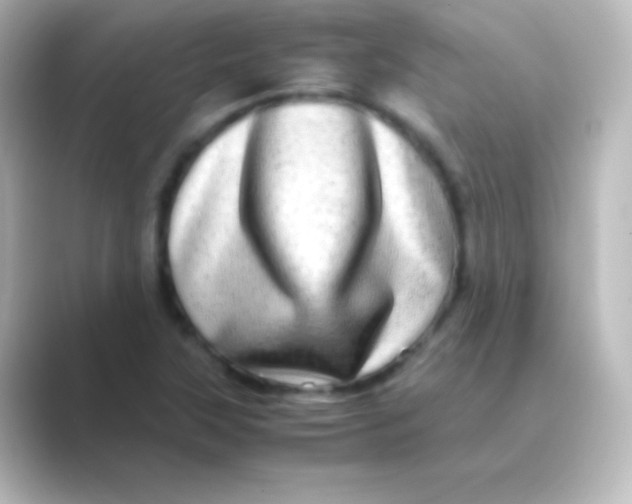 X0000088721315200706212013