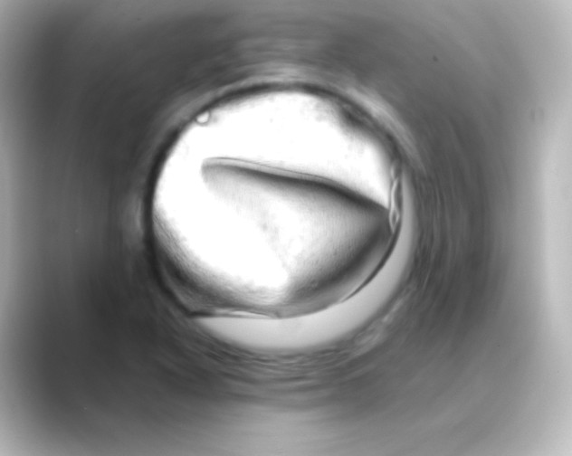 X0000088721318200706212013